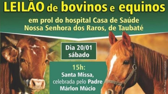 Leilão Beneficente